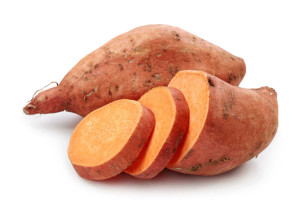 boniato